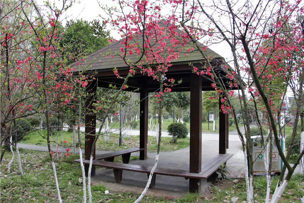 綿陽(yáng)市秀水中學(xué)校園風(fēng)采