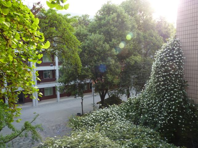 石室聯(lián)合中學(xué)蜀華分校怎么樣？