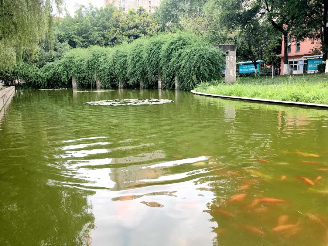 新都香城中學院校環(huán)境