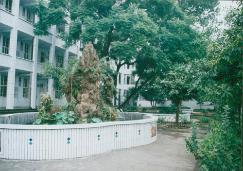 內(nèi)江十三中地址在哪？