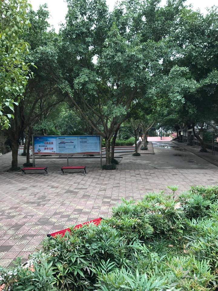內(nèi)江十二中好嗎？
