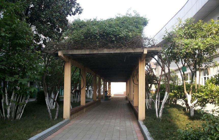 通錦中學(xué)環(huán)境怎么樣？