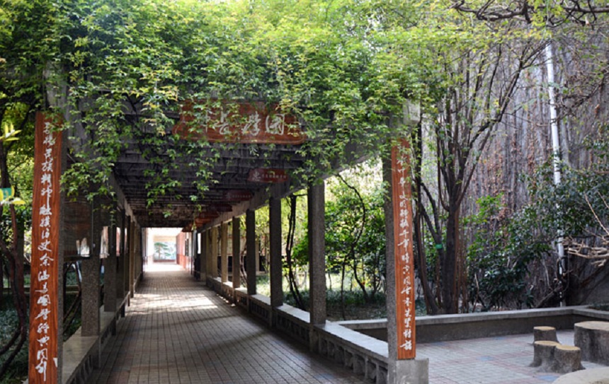 成都玉林中學(xué)網(wǎng)址在是什么？