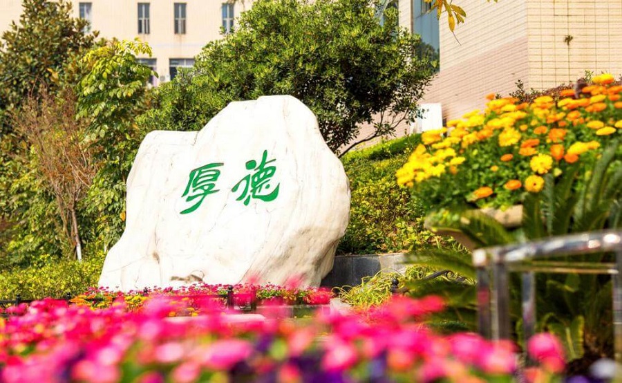 綿陽外國語學(xué)校學(xué)費大概是多少？