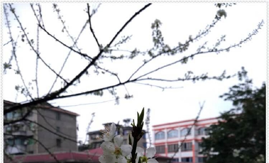 洪雅中學(xué)是一所公辦高中學(xué)嗎？