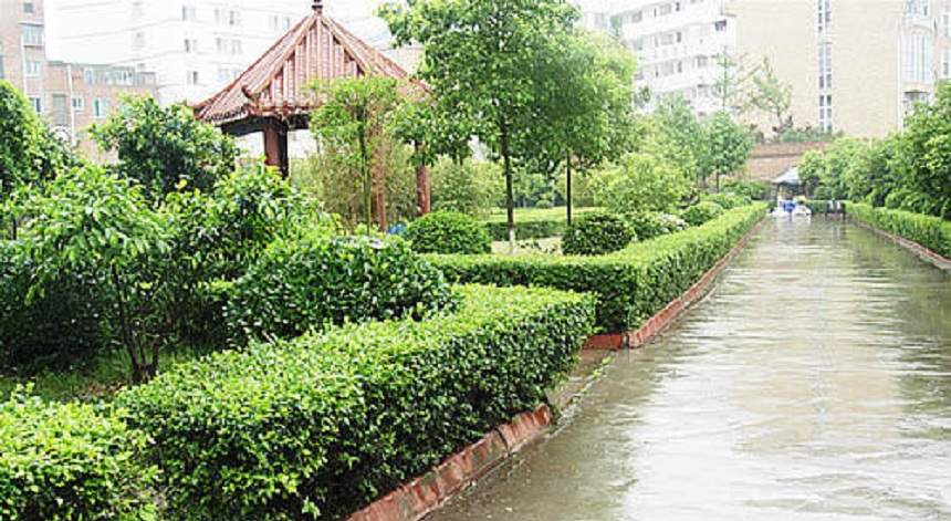 華興中學環(huán)境好不好？