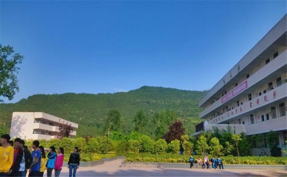 金山中學(xué)2020年中考錄取分?jǐn)?shù)線公布了嗎？
