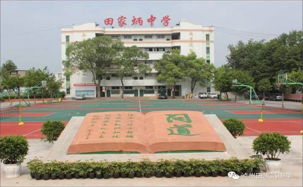 瀘洲市田家炳中學(xué)是公辦學(xué)校嗎？