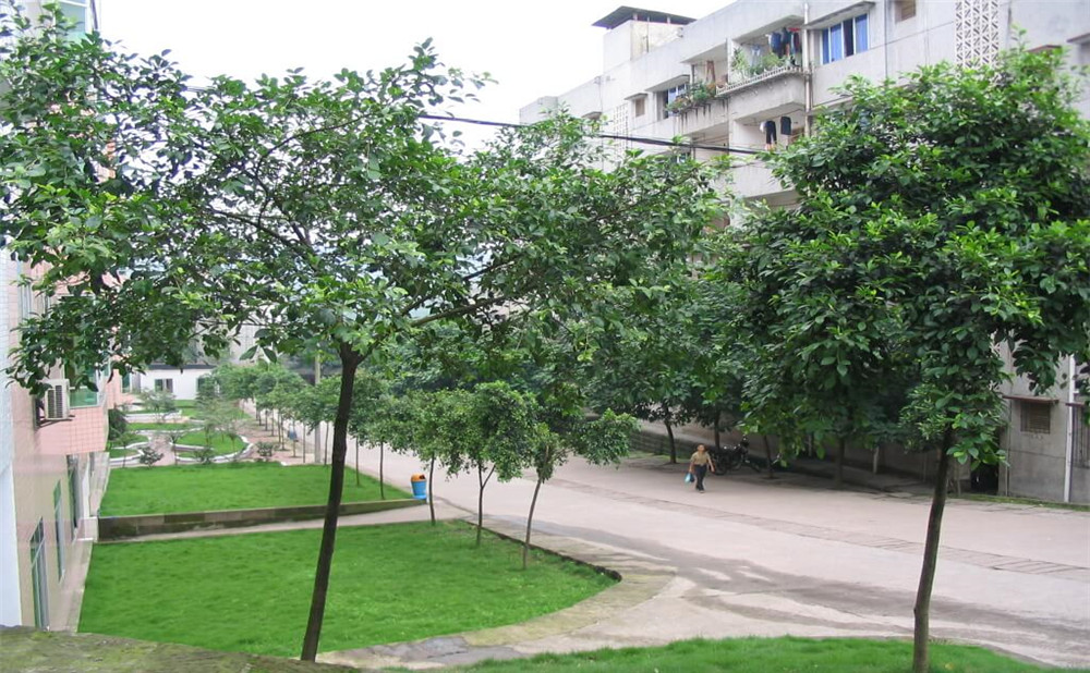 瀘州市納溪區(qū)護國中學(xué)地址在哪里？