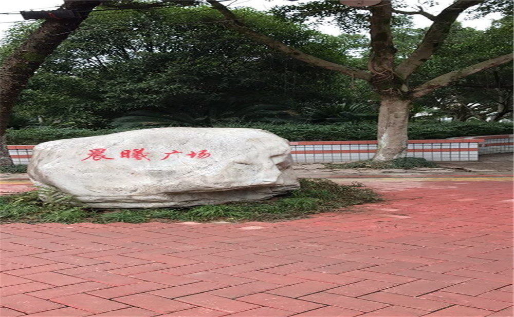 內(nèi)江十二中2020年升學(xué)率怎么樣？
