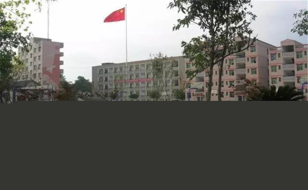 內(nèi)江市第十一中學(xué)學(xué)校環(huán)境怎么樣？