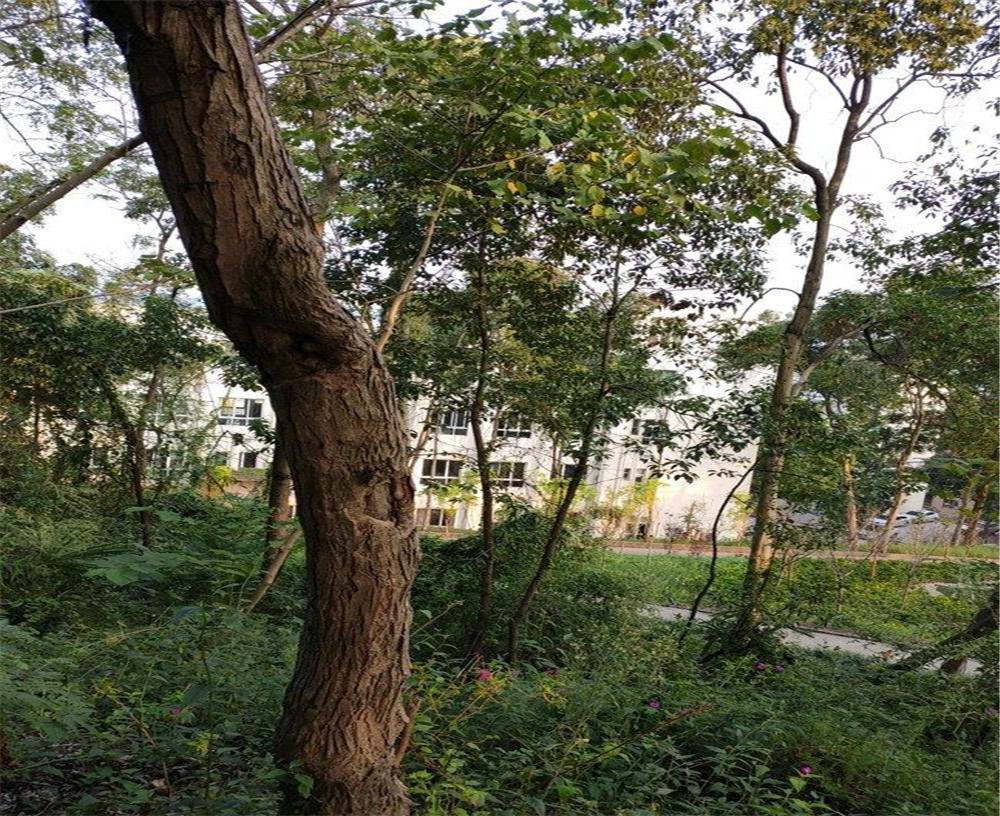 蒲家中學(xué)的詳細(xì)地址在什么地方？