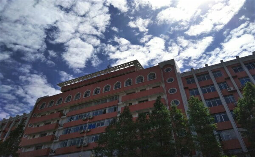 南充十一中2020年招生簡(jiǎn)章在哪兒看？