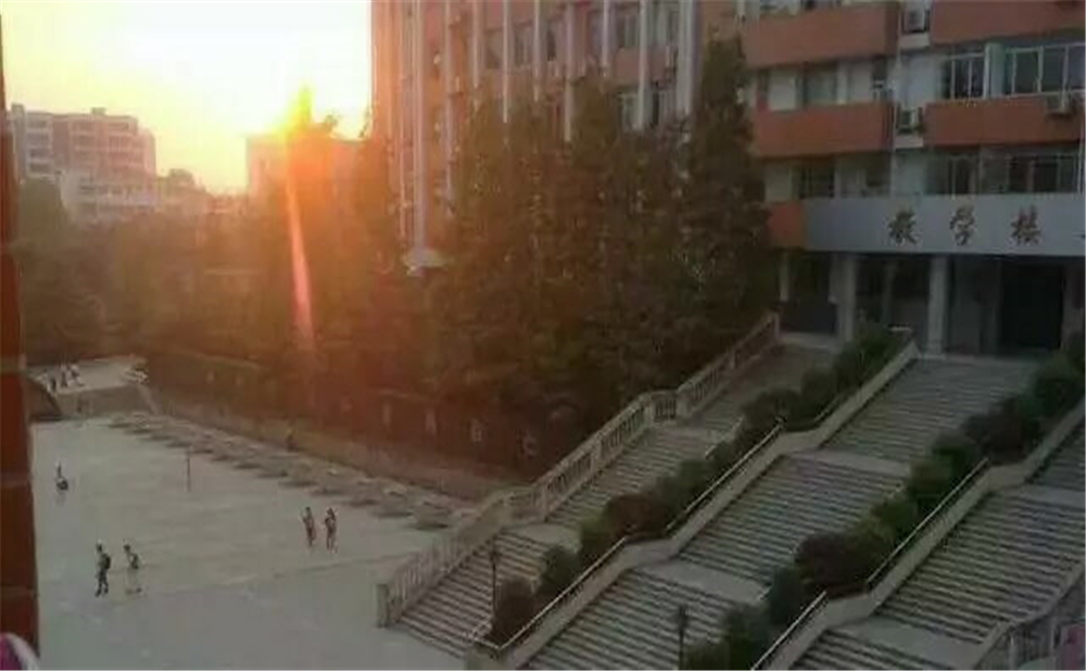 南充十一中學校招辦電話是多少？