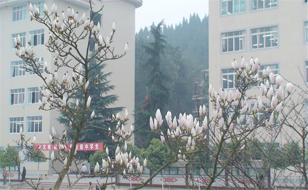 建興中學(xué)學(xué)校詳細地址在什么地方？