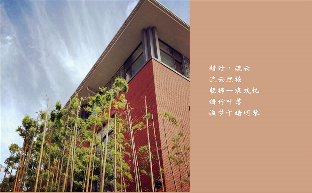 成都七中的高考升學(xué)率是多少？