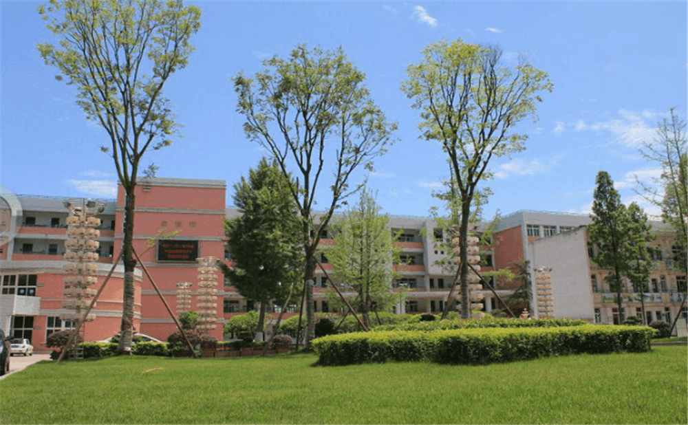 成都市籍田中學(xué)的老師怎么樣？