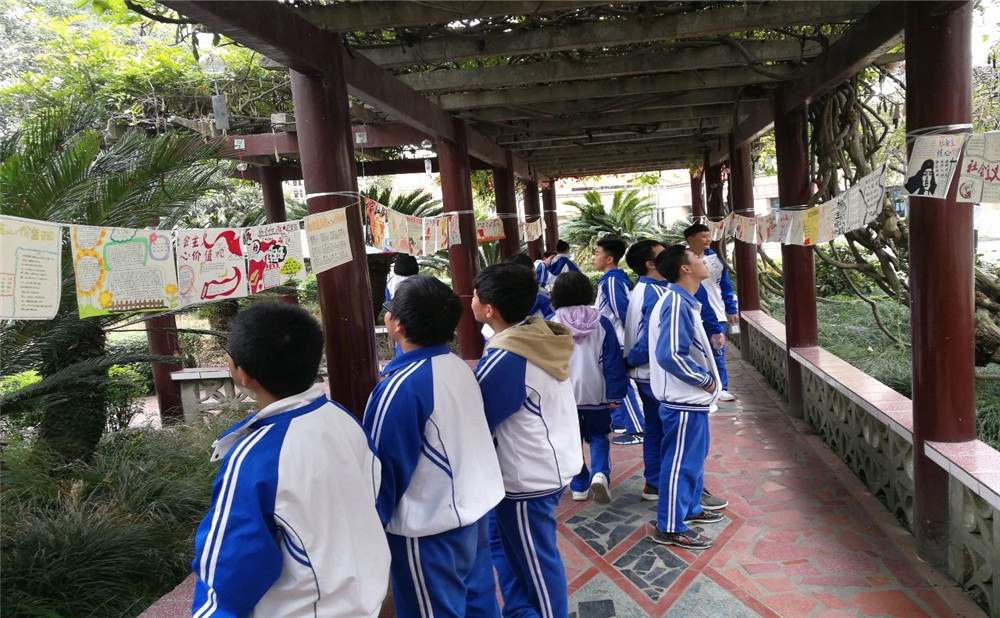 棠湖中學(xué)錄取分數(shù)是多少？