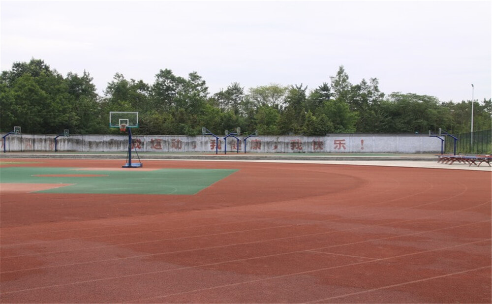 樹德懷遠(yuǎn)中學(xué)2020年招生計(jì)劃在哪兒看？