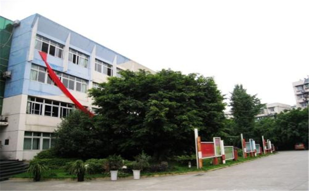 四川師范大學(xué)實(shí)驗(yàn)外國語學(xué)校2020年招生標(biāo)準(zhǔn)是什么？