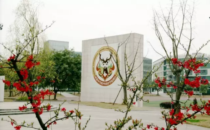 成都實驗外國語學(xué)校（西區(qū)）2020年的招生標準是什么？