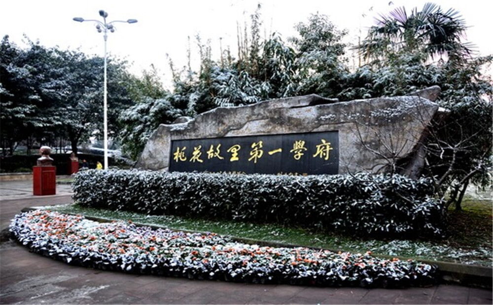 成都市龍泉中學(xué)的升學(xué)率是多少？