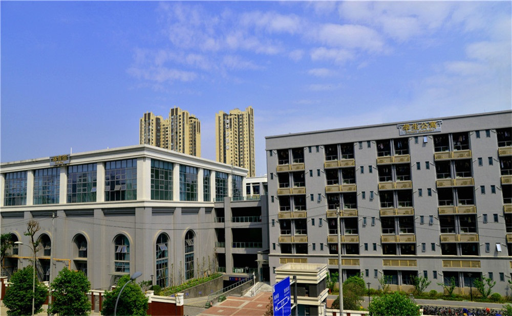 成都市第四十九中學(xué)的錄取分?jǐn)?shù)是多少？