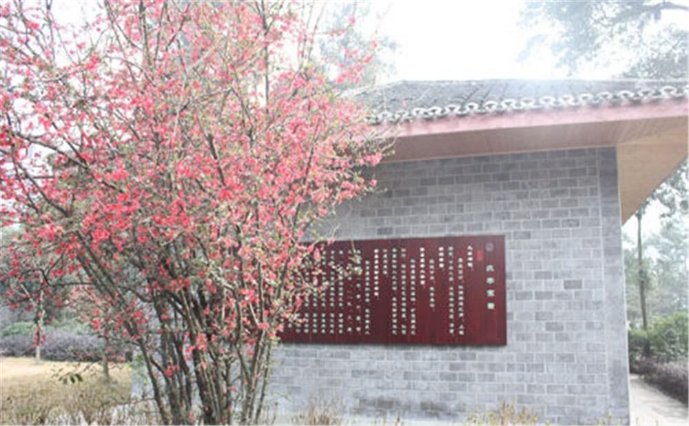 彭州中學(xué)2020年招生標(biāo)準(zhǔn)在哪兒看？
