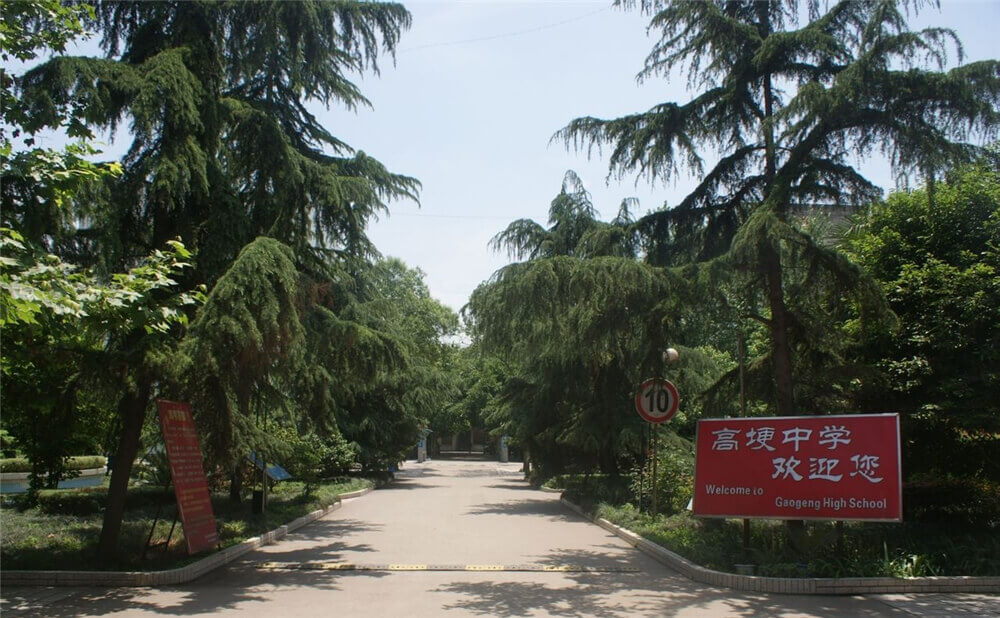 高埂中學(xué)的學(xué)費是多少錢？