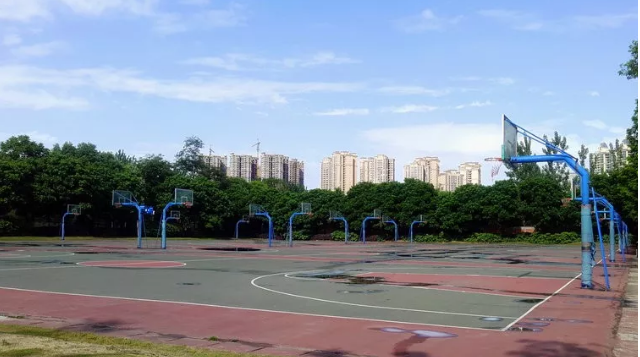 成都實(shí)驗(yàn)外國(guó)語(yǔ)學(xué)校的本科升學(xué)率是多少？