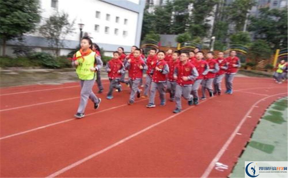 2020成都市泡桐樹中學(xué)的升學(xué)率有多少？