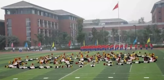 2020年成都七中高新校區(qū)的升學(xué)率有多少？