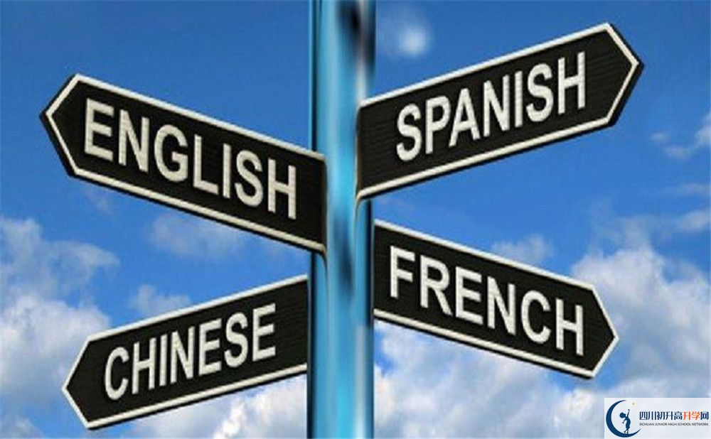 成都石室外國語學校的學費收費標準是多少？
