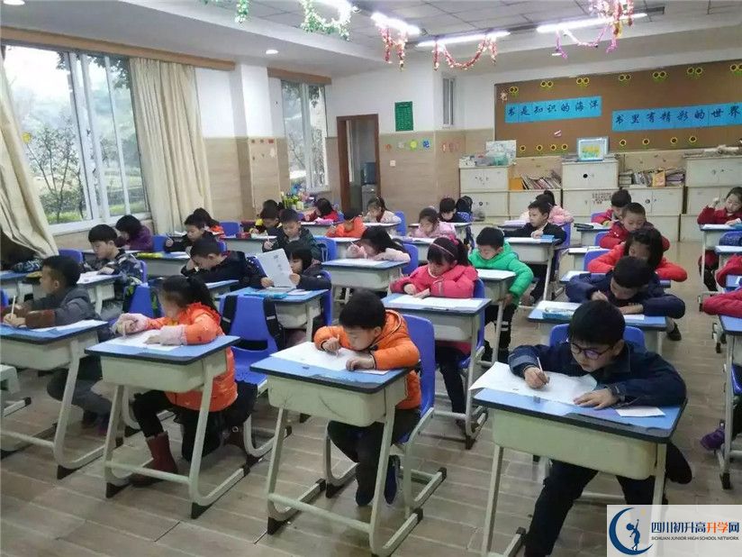 成都美視國際學校的老師好不好？