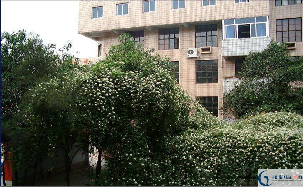 石室聯(lián)合中學(xué)蜀華分校一學(xué)期的學(xué)費(fèi)是多少？