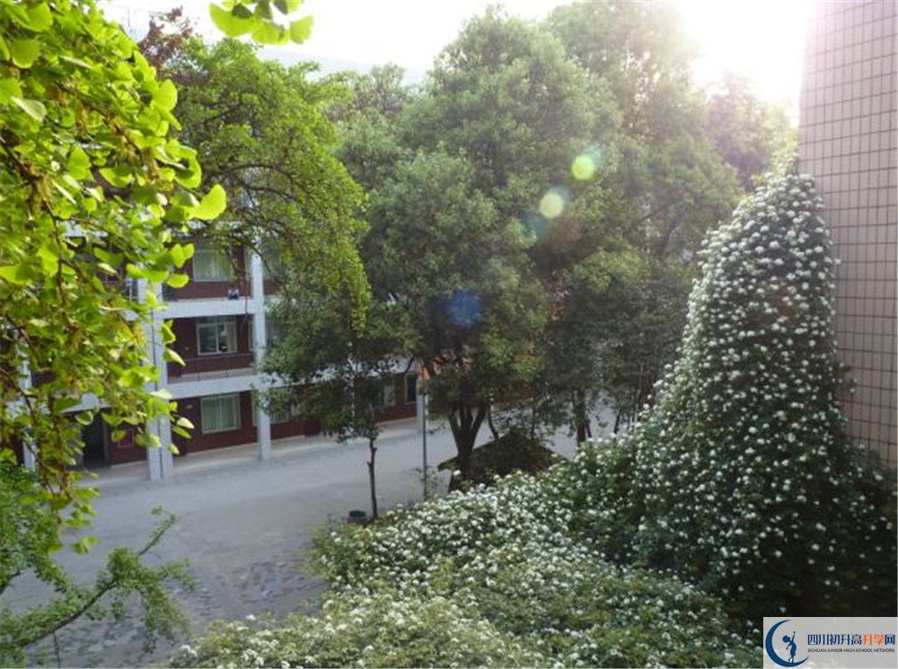 四川師范大學(xué)實(shí)驗(yàn)外國語學(xué)校2020年錄取條件是什么？
