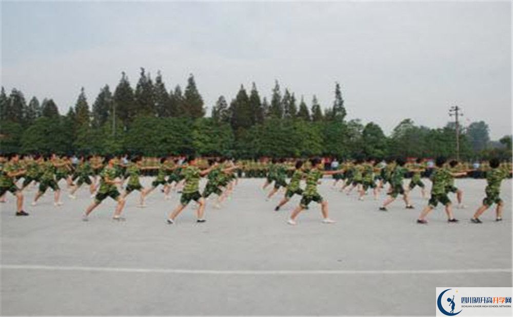 香城中學(xué)高一分班嗎？