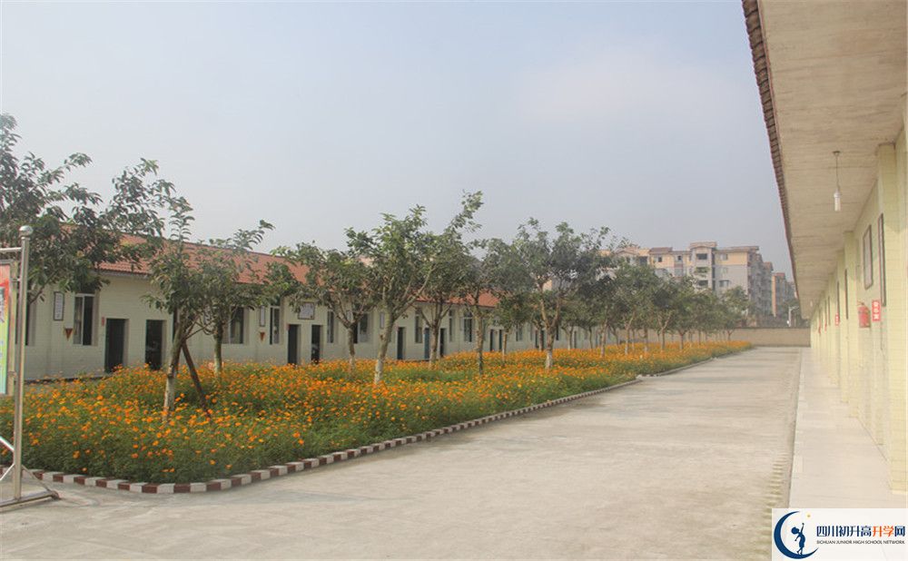 2020年強(qiáng)項(xiàng)實(shí)驗(yàn)中學(xué)自主招生考試報(bào)名時(shí)間是多久？