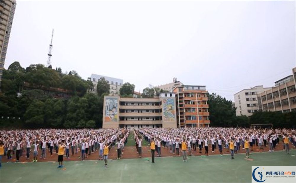 簡陽實(shí)驗(yàn)中學(xué)的高一分班嗎？