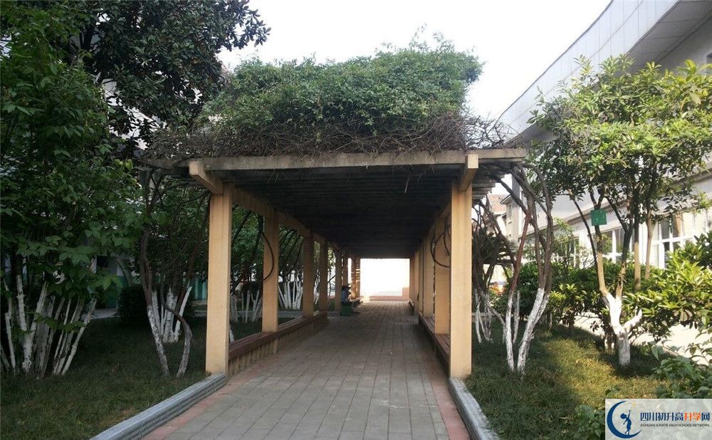 通錦中學(xué)2020年清華北大錄取學(xué)生有多少？