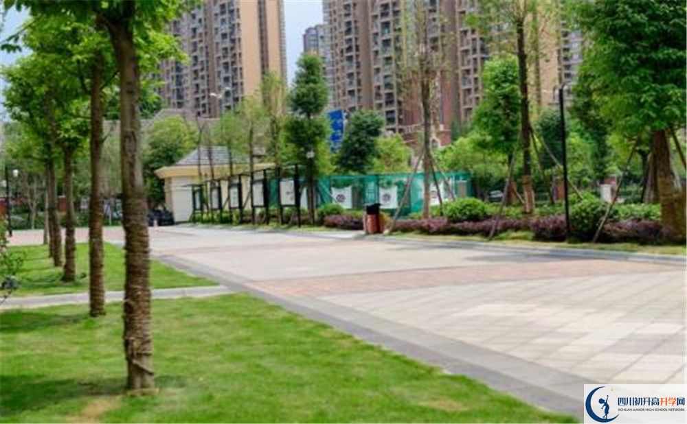 成都教科院附屬學(xué)校2020年清華北大錄取學(xué)生有多少？