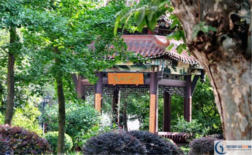 中和中學(xué)的地址怎么走？