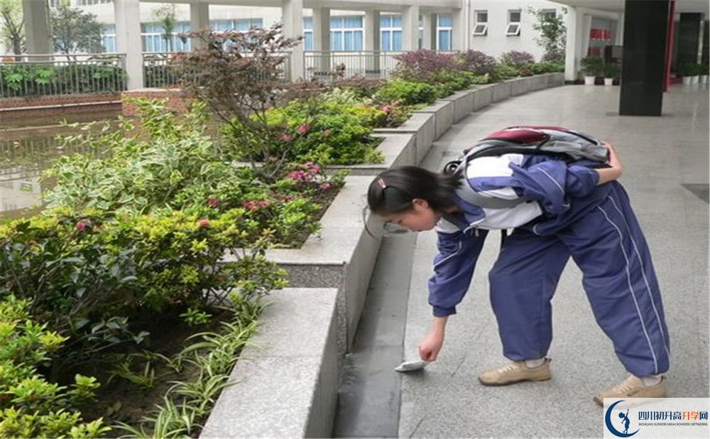 成都市龍泉中學(xué)初升高向外地招生嗎？