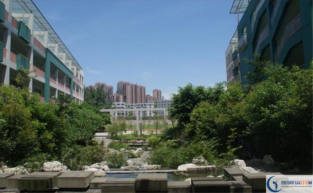 四川師范大學(xué)實(shí)驗(yàn)外國(guó)語(yǔ)學(xué)校2020年保送清華北大的人數(shù)？