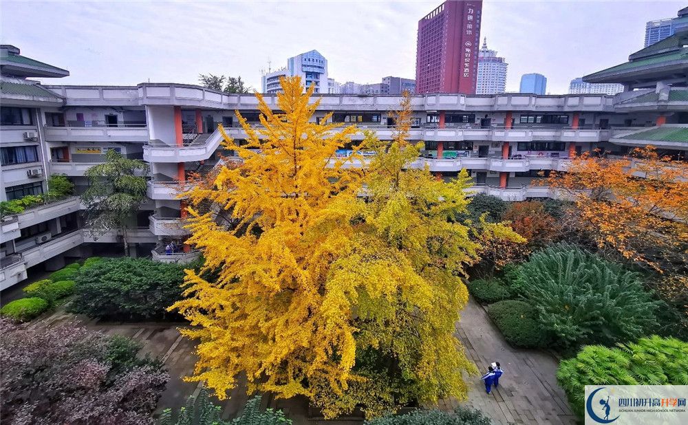 成都石室中學自主招生中考網(wǎng)上怎么報名？