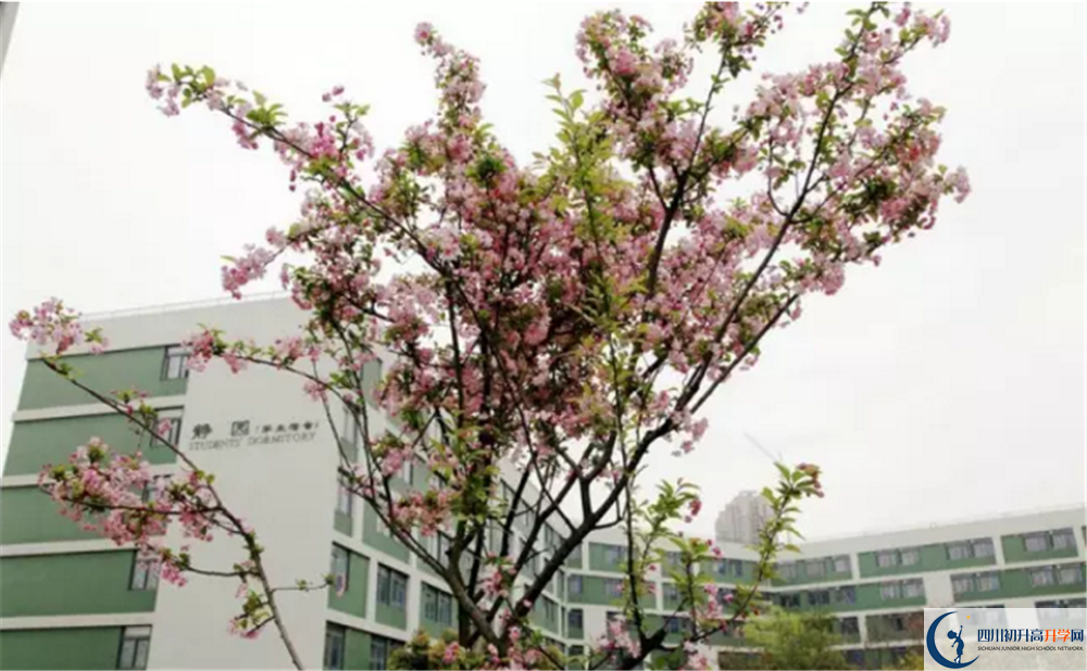 電子科技大學(xué)實(shí)驗(yàn)中學(xué)2020高一開學(xué)時(shí)間是多久？
