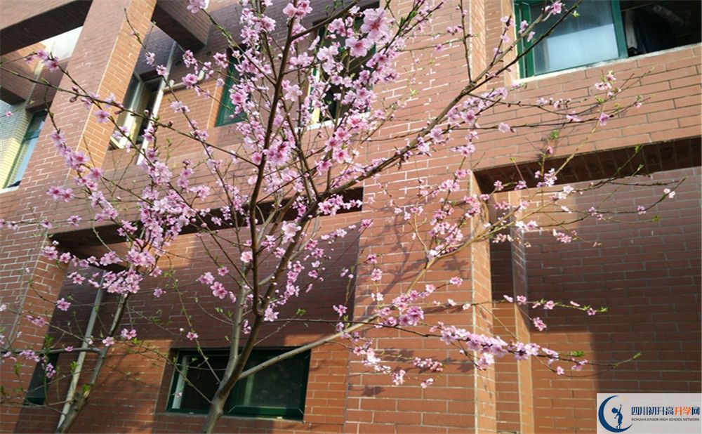 都江堰育才學校自主招生條件是什么？