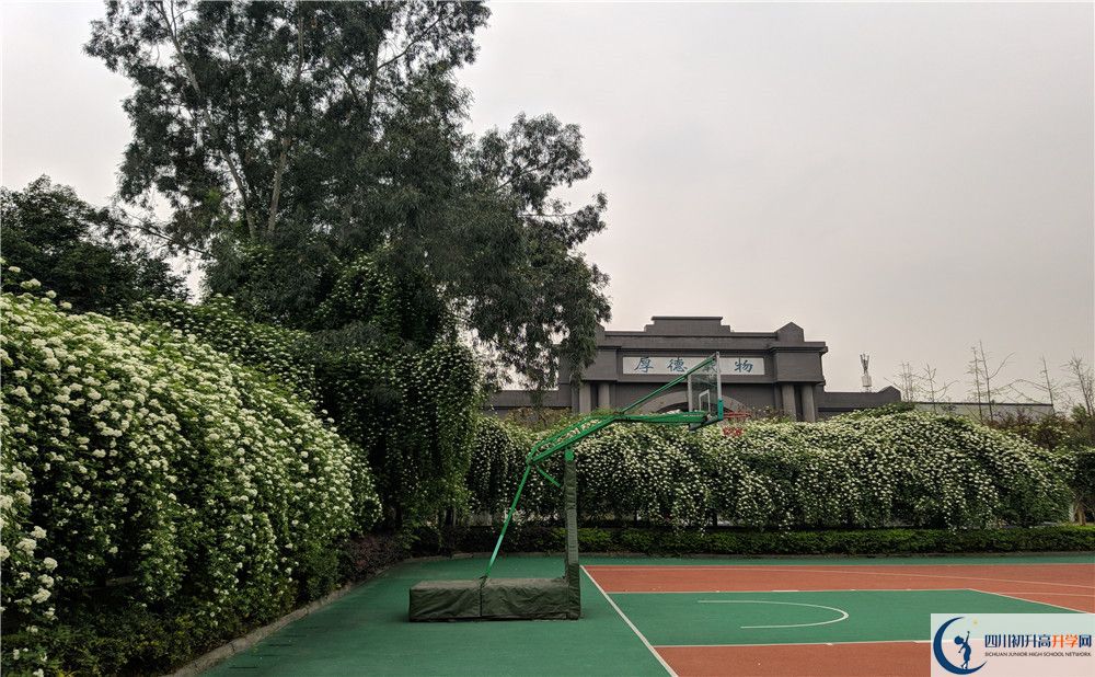 四川師范大學(xué)實(shí)驗(yàn)外國(guó)語(yǔ)學(xué)校2020年全國(guó)排名？