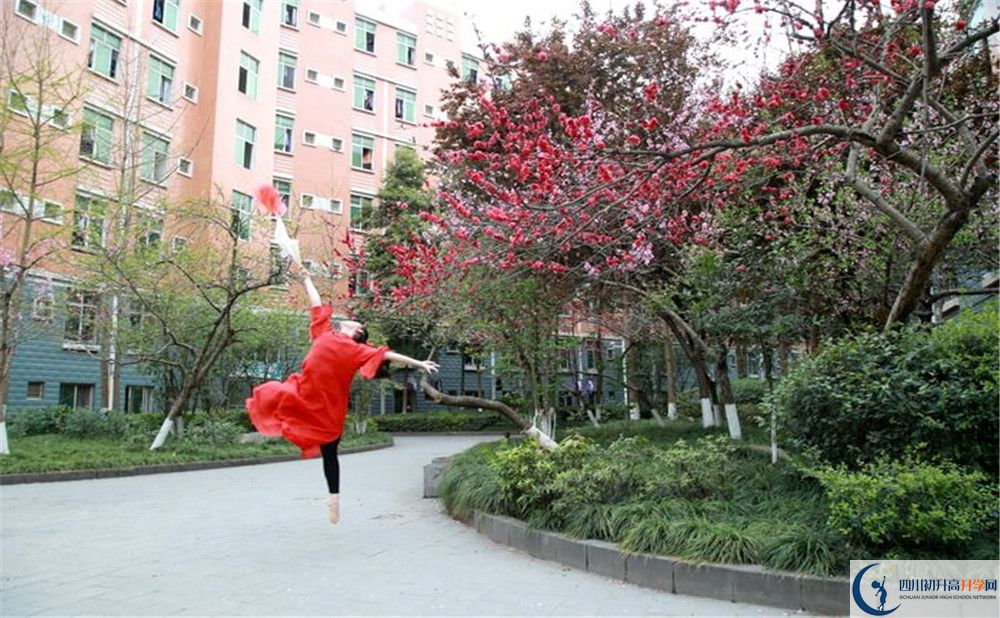 簡陽中學2020年保送清華北大的人數(shù)是多少？