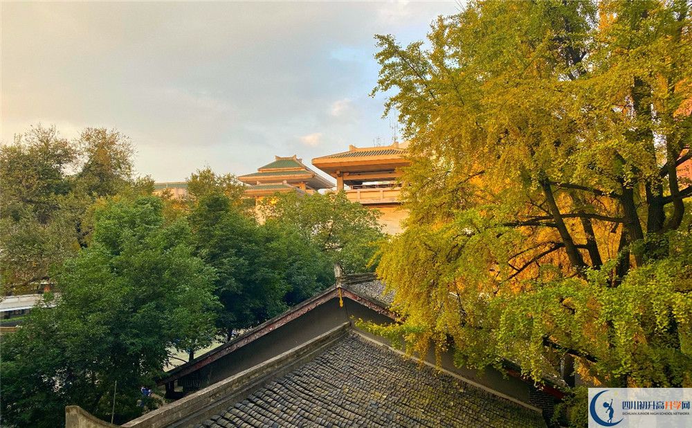 成都石室中學(xué)位置在哪里？